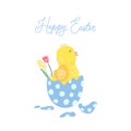 Easter greeting card with a blue Easter egg and little chicken Royalty Free Stock Photo